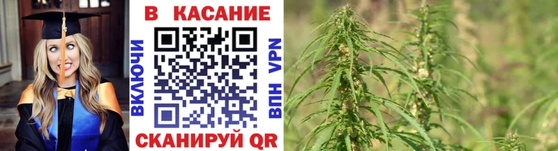 Где можно купить наркотики Гурьевск MEGA tor  А ПВП  ГАШИШ  Меф мяу мяу  COCAIN 