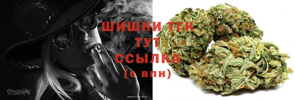 сатива Армянск
