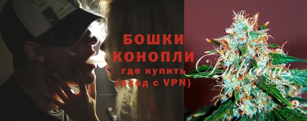 сатива Армянск