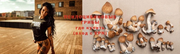 сатива Армянск