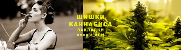 сатива Армянск