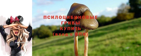 сатива Армянск