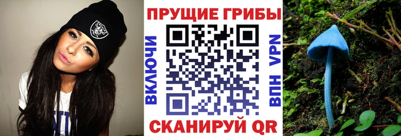 Галлюциногенные грибы ЛСД Гурьевск